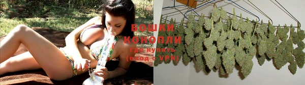 винт Бородино