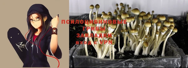винт Бородино
