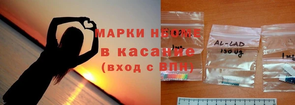 бошки Бронницы