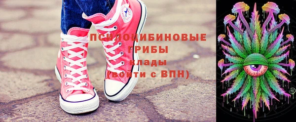 гидра Бугульма