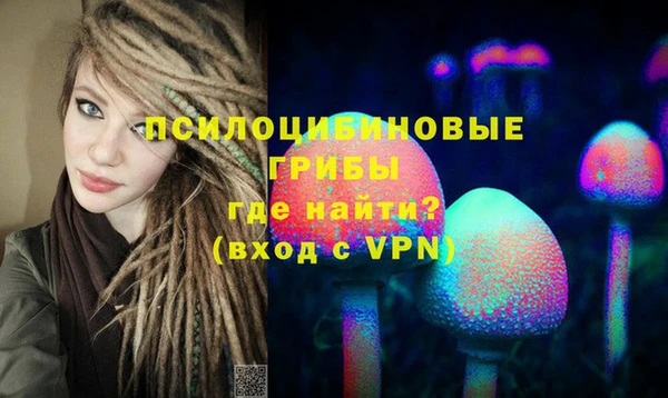 винт Бородино