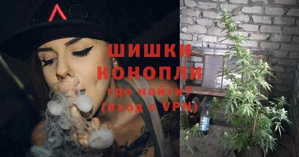 бошки Бронницы