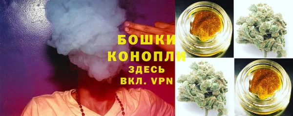 бошки Бронницы